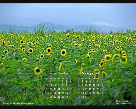 403068 (a): :1280x1024